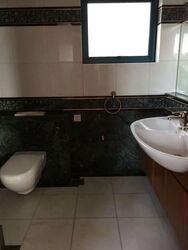 The Legend (D10), Condominium #583439661